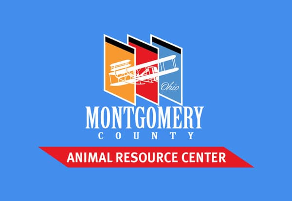 Why Licensing Your Dog Matters